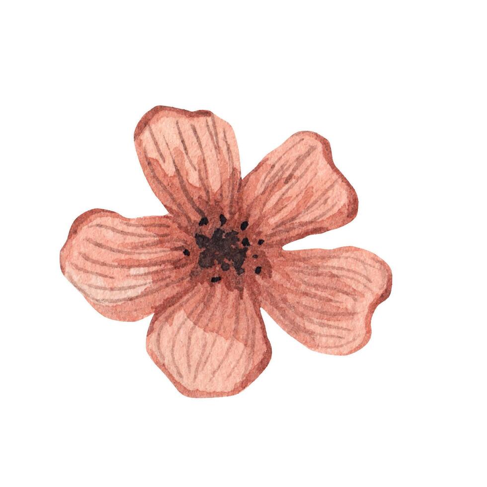 Rosa Blume. Aquarell Illustration vektor