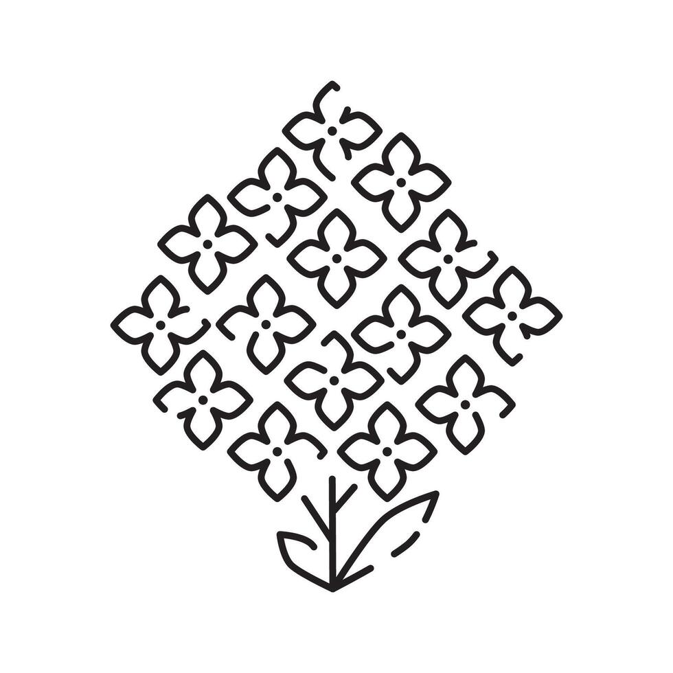 Frühling Blumen Linie Symbol. Wald Farn Eukalyptus Kunst Laub natürlich Blätter Kräuter. dekorativ Schönheit elegant Illustration zum Design Hand gezeichnet Blume. vektor