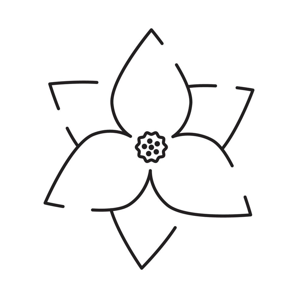 Frühling Blumen Linie Symbol. Wald Farn Eukalyptus Kunst Laub natürlich Blätter Kräuter. dekorativ Schönheit elegant Illustration zum Design Hand gezeichnet Blume. vektor