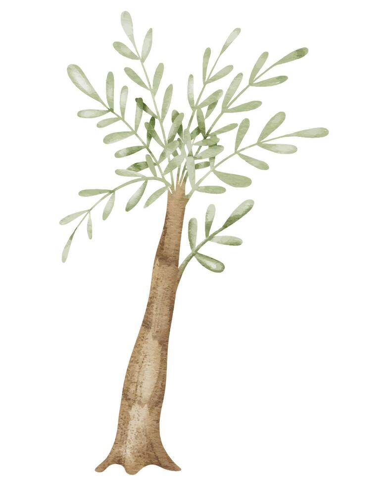 Palme Baum Aquarell Illustration. Hand gezeichnet Clip Kunst auf isoliert Hintergrund. Zeichnung von ein tropisch Urwald Pflanze. Natur Design Element mit Grün Blätter skizzieren. Ideal zum Baby Zimmer Dekorationen vektor