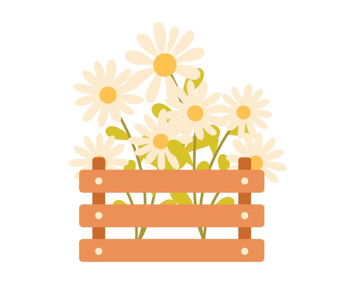 hölzern Box mit Frühling Blumen. vektor