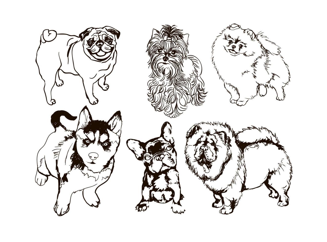 Vektorset mit bunten Illustrationen mit Hunden verschiedener Rassen vektor