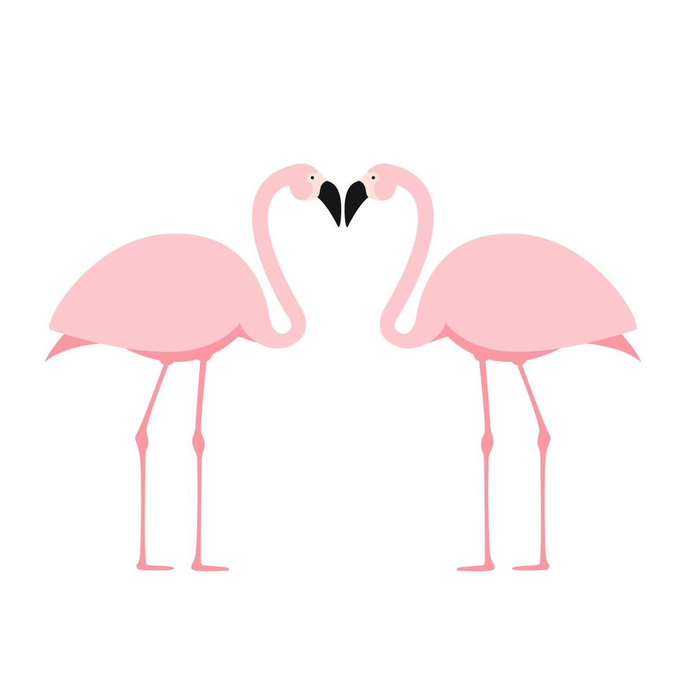 Cartoon rosa Flamingo auf weißem Hintergrund. Vektor-Illustration vektor