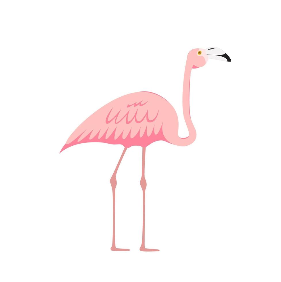 bunter rosa dekorativer Flamingo lokalisiert auf weißem Hintergrund. Vektor-Illustration vektor