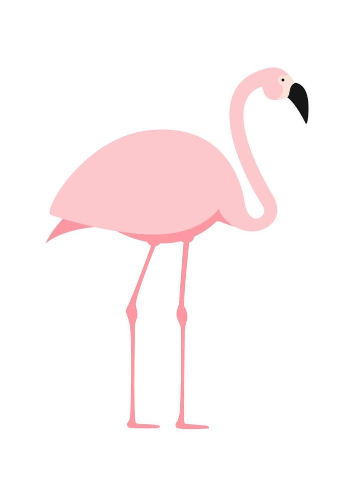 tecknad rosa flamingo på vit bakgrund. vektor illustration