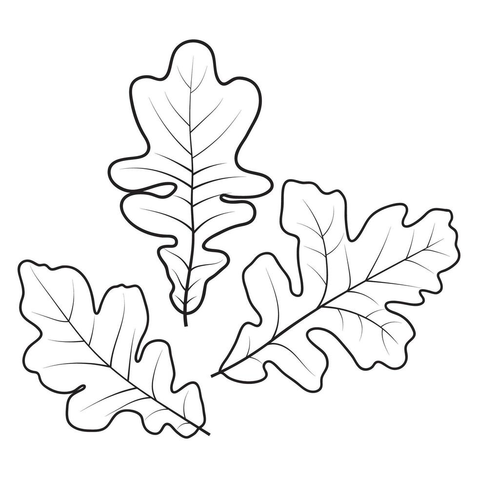 Weiß Eiche Gliederung Blätter vektor