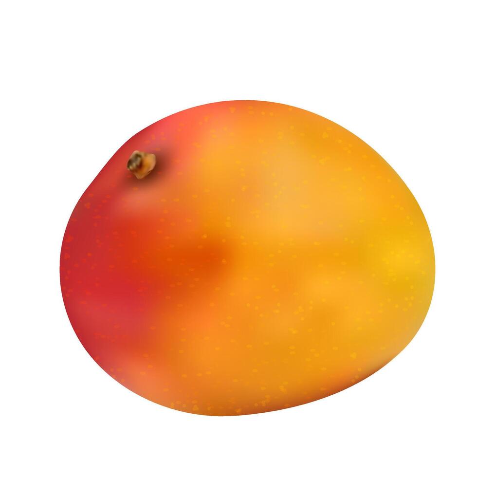 realistisch Vektor reif Mango