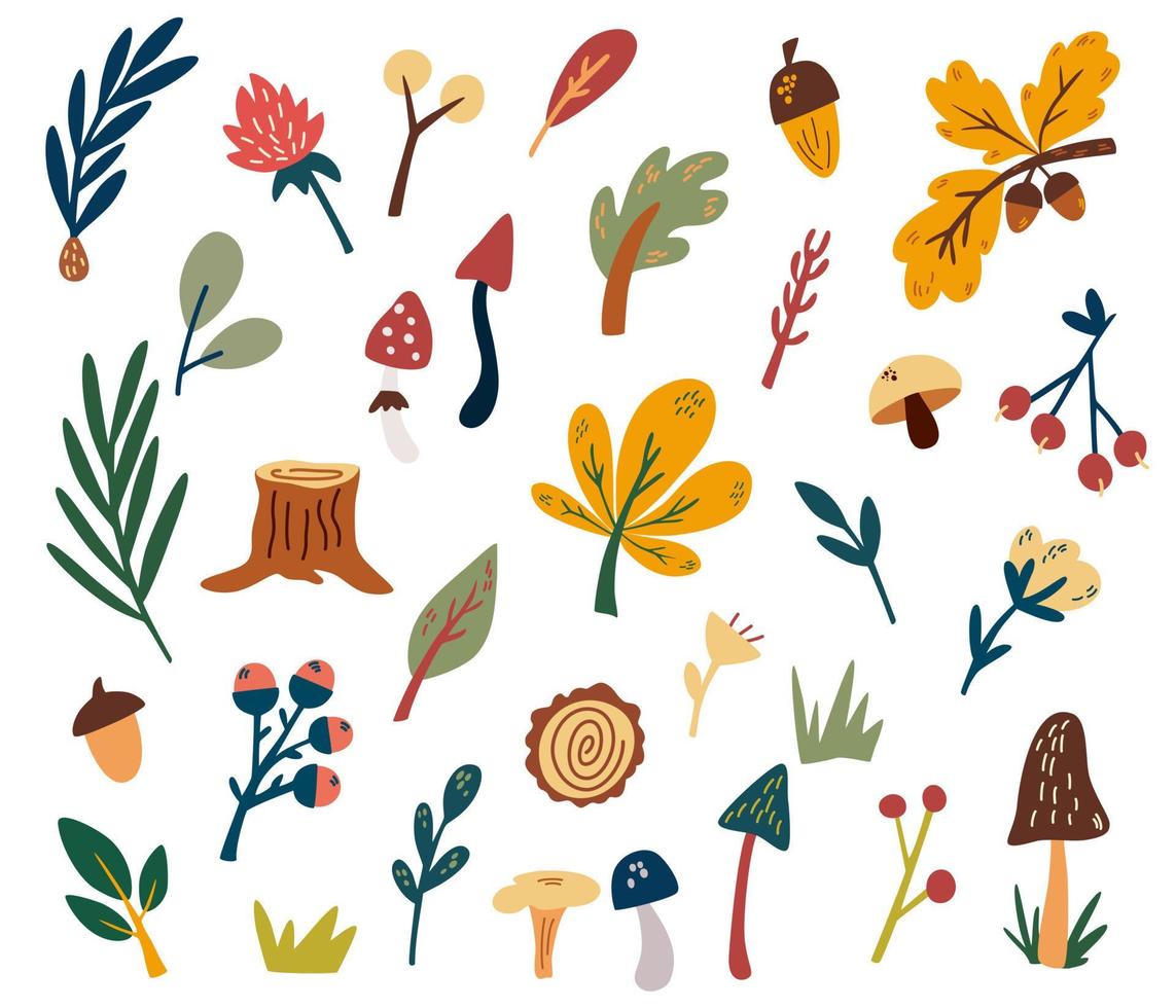 Waldpflanzen Clipart-Sammlung. Waldbäume, Kräuter, Pilze, Blumen, Äste, Beeren, Blätter. Hand zeichnen wildes botanisches Set. Vektor-Cartoon-Illustration. auf dem weißen Hintergrund isoliert. vektor