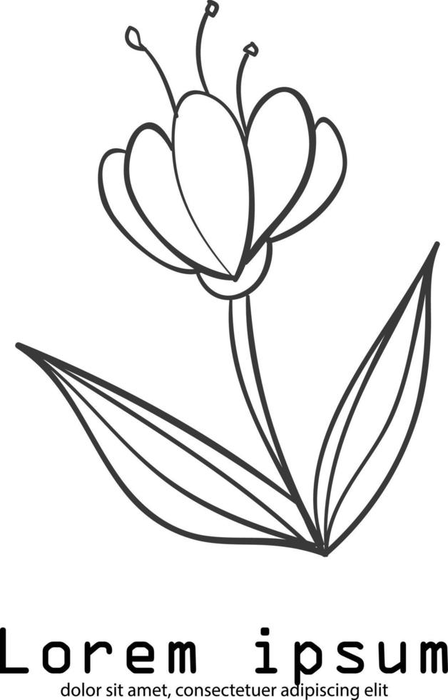 organisches botanisches minimales natürliches Logo Vintage vektor