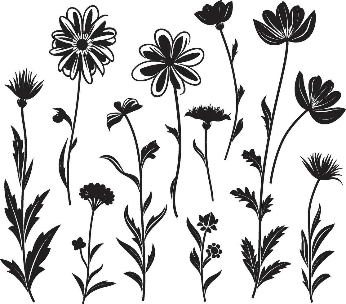 Blumen- flüstert glatt schwarz Symbol Design zum Wildblumen verzaubert blüht dynamisch schwarz Logo mit Wildblume Symbol vektor