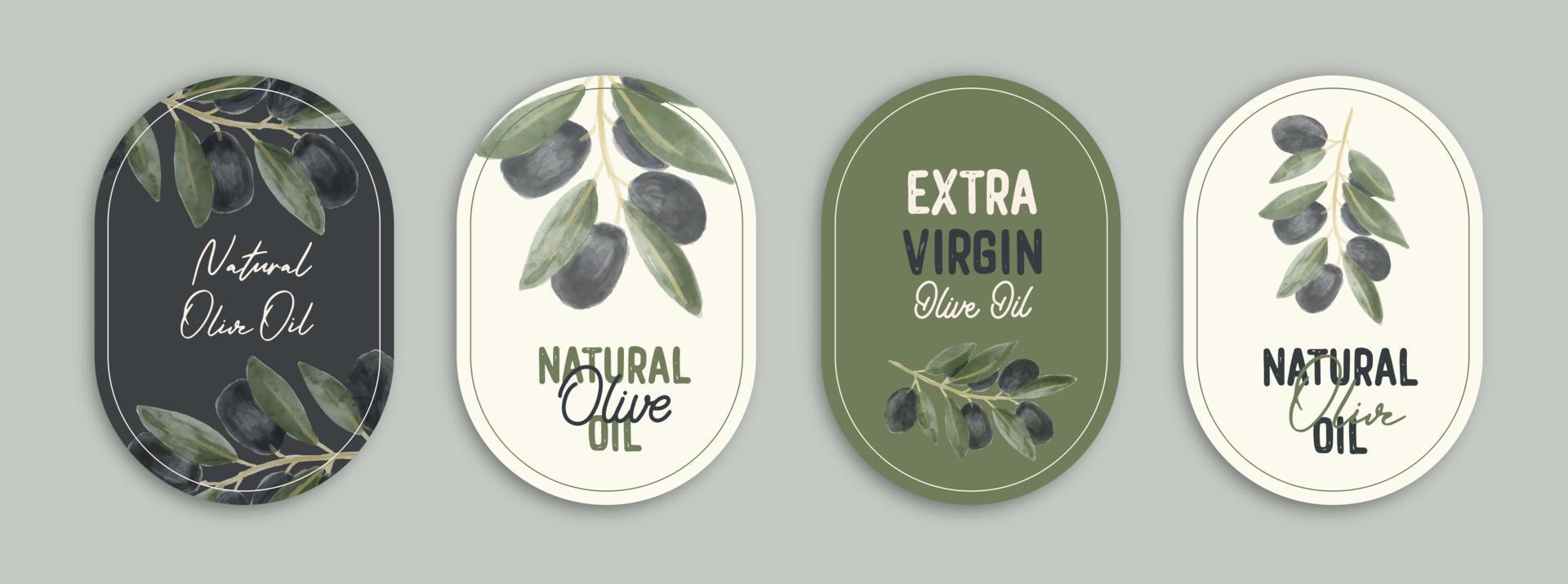 vektor etiketter med akvarell olivkvist. emblem sammansättning med oliver och typografi.