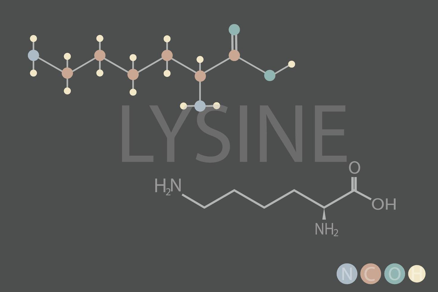 lysin molekyl skelett- kemisk formel vektor