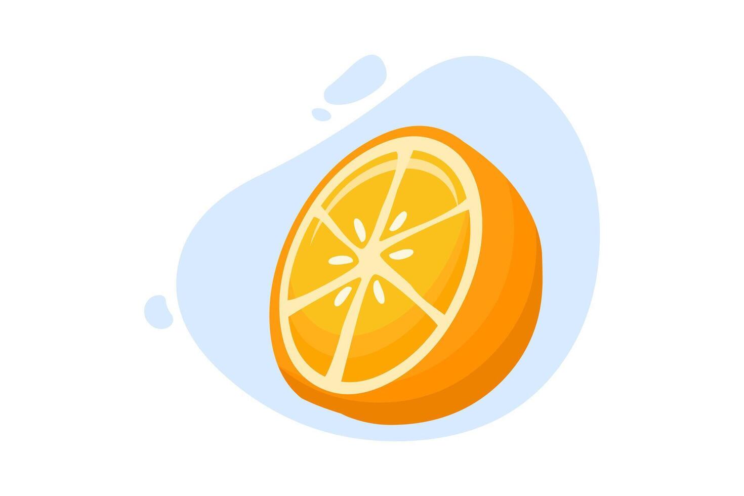 ein Scheibe von frisch Orange zu hinzufügen Vitamin c. Orange Obst Vektor Illustration