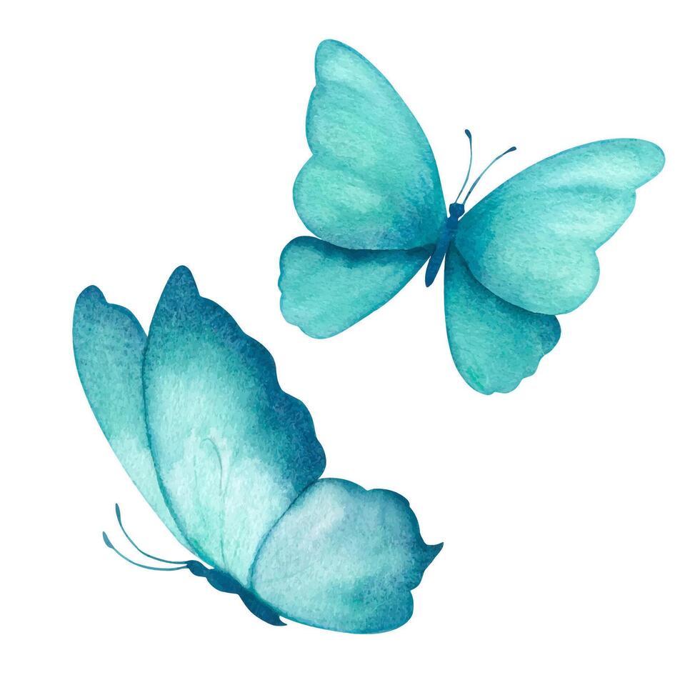 Aquarell Illustration von zart Türkis Schmetterlinge. handgefertigt, isoliert vektor