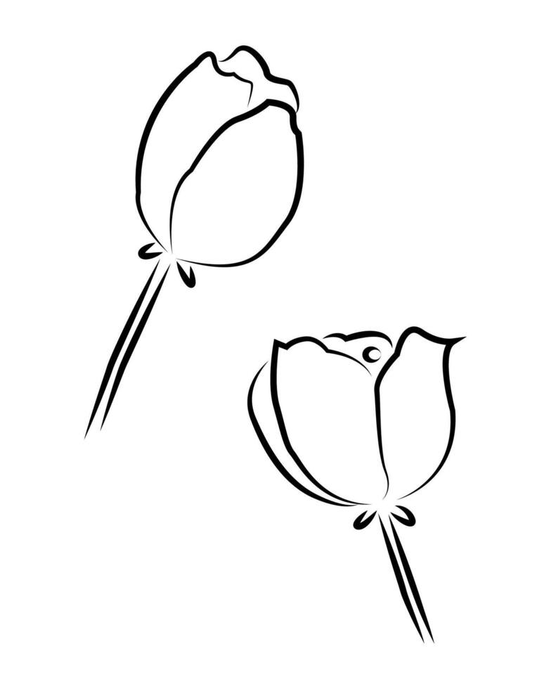 linje konst av blomma. vektor illustration.