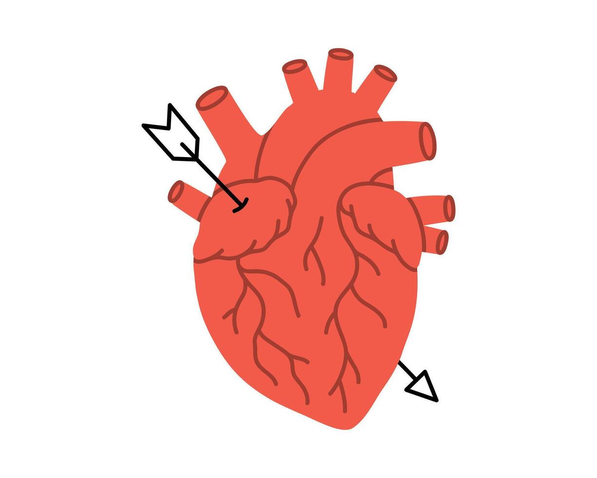 Hand gezeichnet süß Illustration Herz Organ durchbohrt durch Pfeil. fallen im Liebe Gefühl Symbol Charakter im Gekritzel Stil. Valentinstag Tag Urlaub romantisch Aufkleber, Symbol oder drucken. isoliert auf Weiß. vektor