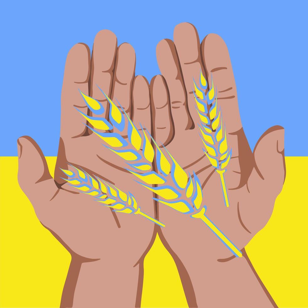 isoliert Illustration von Mensch Hände mit Ohren von Weizen im das Farben von das ukrainisch Flagge. der Holodomor. Export von ukrainisch Getreide. vektor