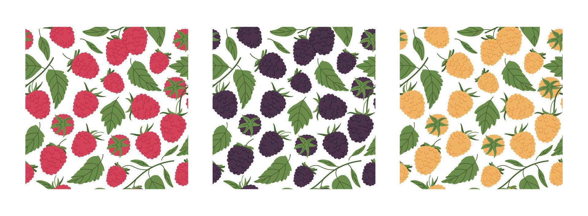 Beeren nahtlos Muster. Himbeere, Brombeere und Gelb Himbeeren endlos Design, frisch Beere zum gesund Ernährung eben Hintergrund Illustration Satz. Hand gezeichnet Wald Beeren Muster vektor