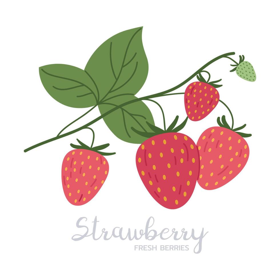 saftig jordgubbar. vild ätlig färsk bär, mogen jordgubb med rubrik, platt illustration. hand dragen utsökt bär vektor