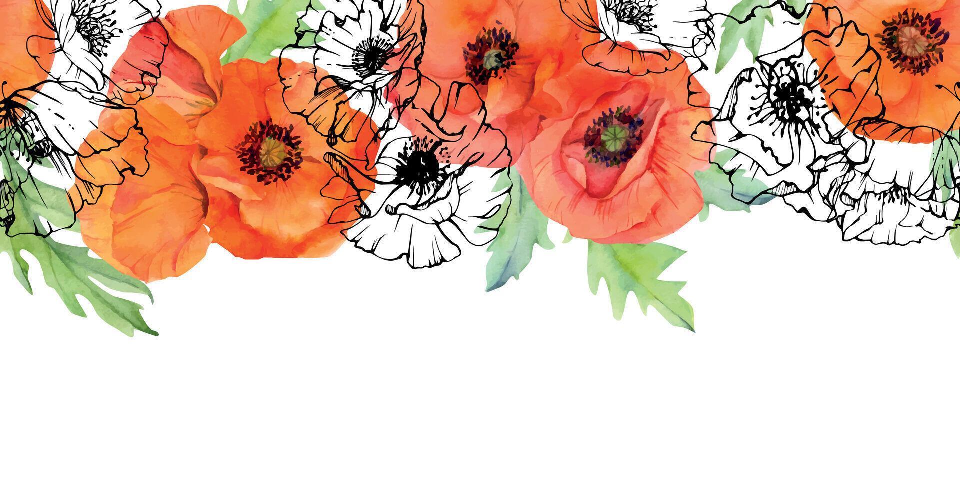 hand dragen vattenfärg botanisk illustration blommor löv. röd vallmo papaver, stjälkar knoppar frökapslar. sömlös baner isolerat vit bakgrund. design bröllop, kärlek kort, minne dag brevpapper vektor