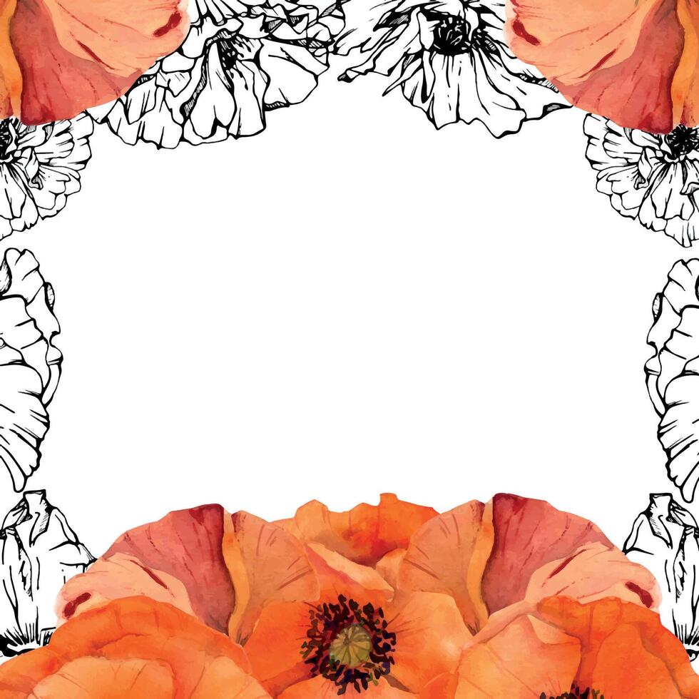 Hand gezeichnet Aquarell botanisch Illustration Blumen Blätter. rot Mohn Papaver, Stängel Knospen Samenkapseln. Rand Rahmen isoliert auf Weiß Hintergrund. Design Hochzeit, Liebe Karten, Erinnerung Tag Schreibwaren vektor