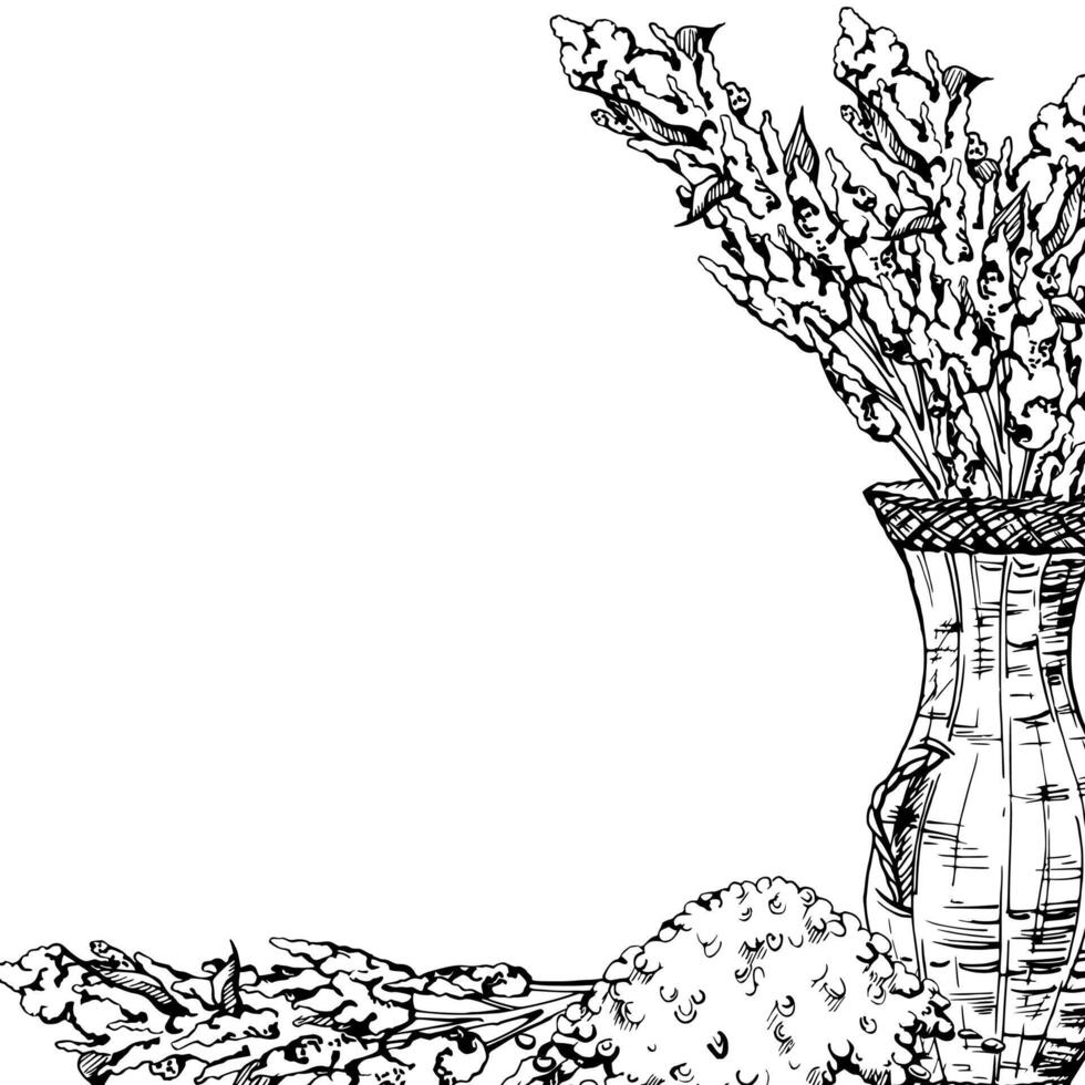 hand dragen bläck illustration, quinoa växt frön, amarant blomma beskära mat bruka spannmål flingor. fyrkant ram isolerat på vit bakgrund. design resa, broschyr, skriva ut, Kafé restaurang meny vektor