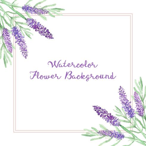 Aquarell Lavendel Blumen Hintergrund vektor