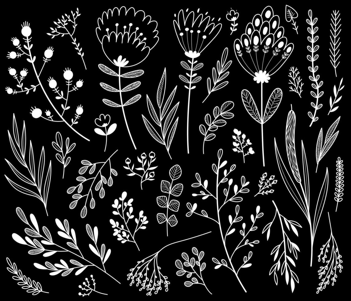 stor växt, blommig uppsättning. blommor, grenar, löv. isolerat på svart bakgrund. hand dragen linje illustration. vektor