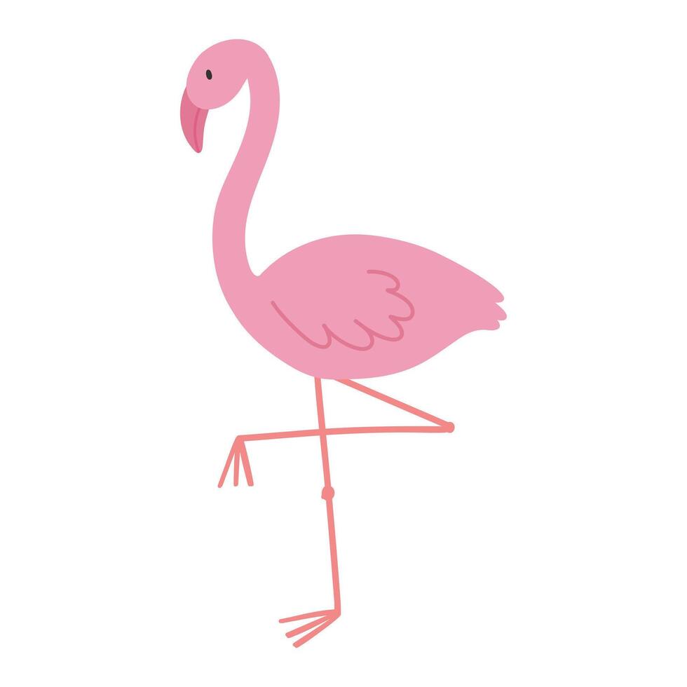 Rosa Flamingo isoliert auf Weiß Hintergrund. Flamingo Illustration. süß exotisch Vogel. vektor