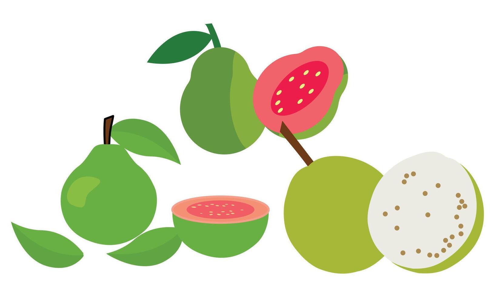 guava design och illustration bunt. vektor