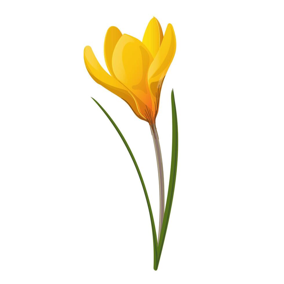 Gelb Krokus Blume gezeichnet im Karikatur Stil vektor