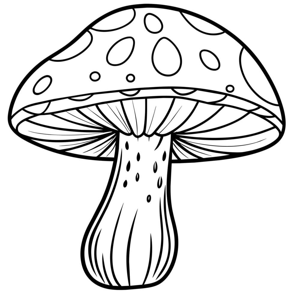 Pilz Gliederung Illustration Digital Färbung Buch Seite Linie Kunst Zeichnung vektor