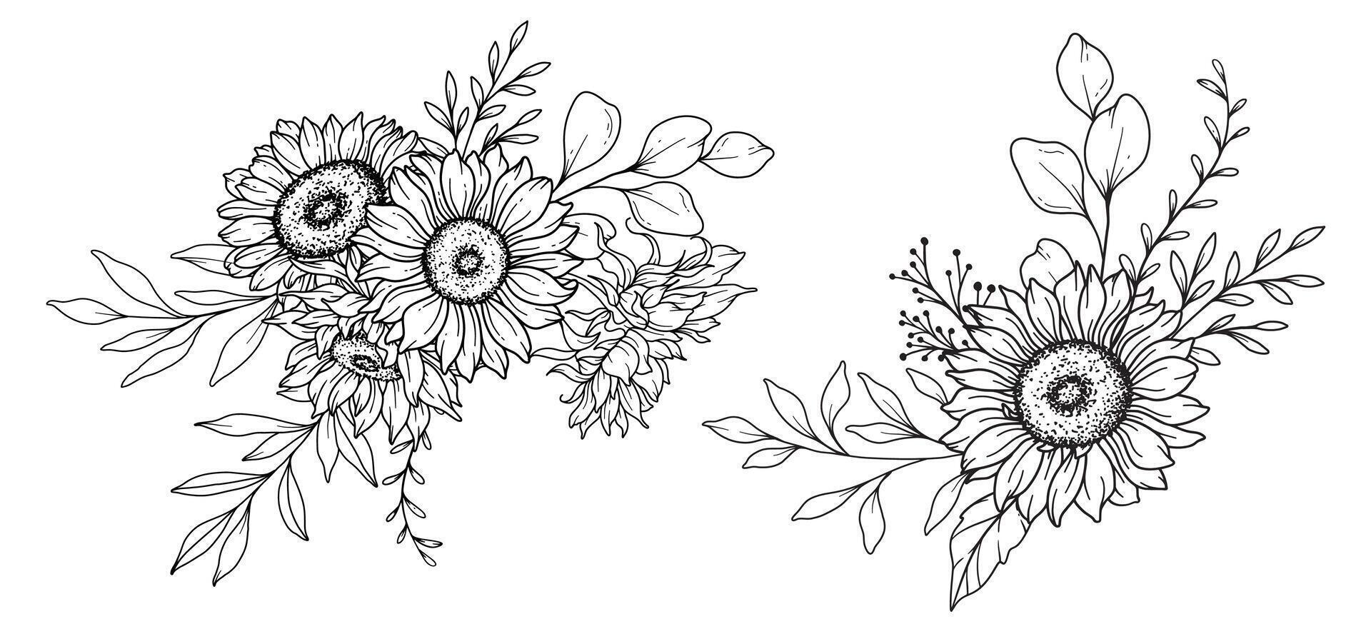 Sonnenblumen Linie Kunst, fein Linie Sonnenblumen Hand gezeichnet Illustration. fein Linie Sonnenblumen Illustration. Blumen- Linie Kunst. schwarz und Weiß Sonnenblumen Grafik vektor