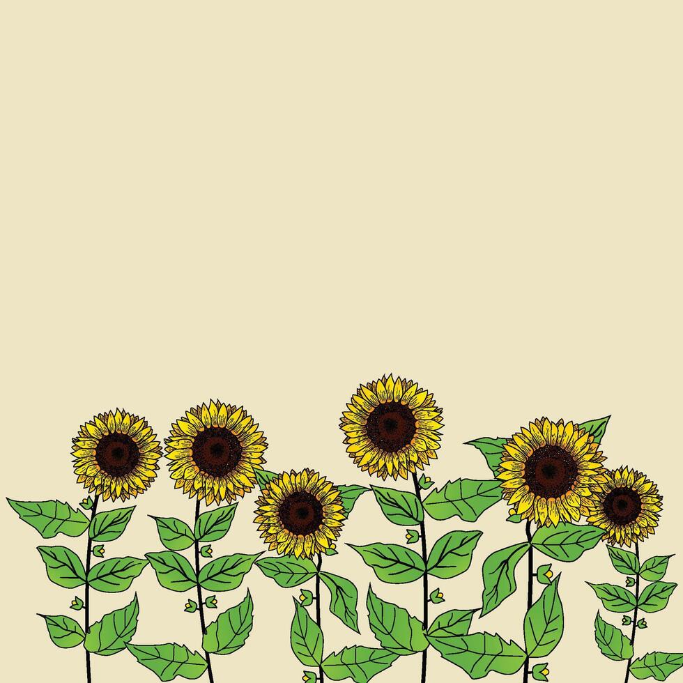 Sonnenblume mit schön Konzept vektor