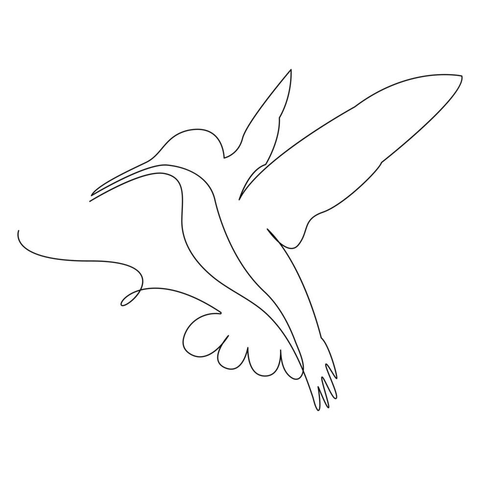 kolibri kontinuerlig ett linje teckning illustration konst design vektor