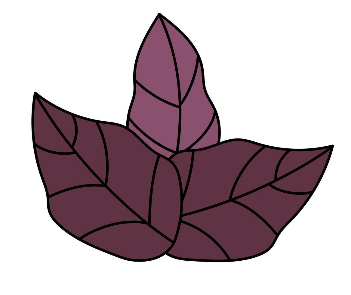 lila basilika element. växt med löv. krydda, krydda och ört. organisk produkt. matlagning kryddad ingrediens. platt illustration. ikon, logotyp, klistermärke. vektor