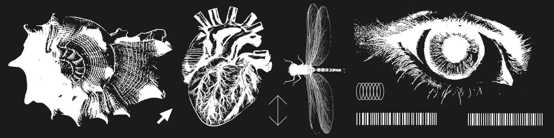 Anti-Design Grunge Elemente mit ein retro Fotokopie Wirkung. Negativ Natur Objekte zum y2k Design. Korn bewirken und Tupfen. Punkte texturiert Illustration. vektor