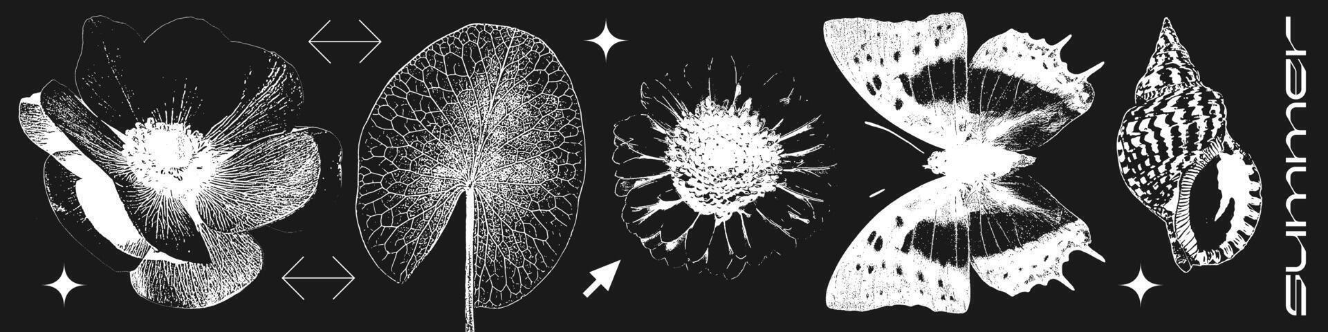 olika sommar blommor, blad, skal, fjäril fotokopia effekt element uppsättning med grunge stippling spannmål rörig textur. trendig y2k estetisk illustration. negativ filma imitation. vektor