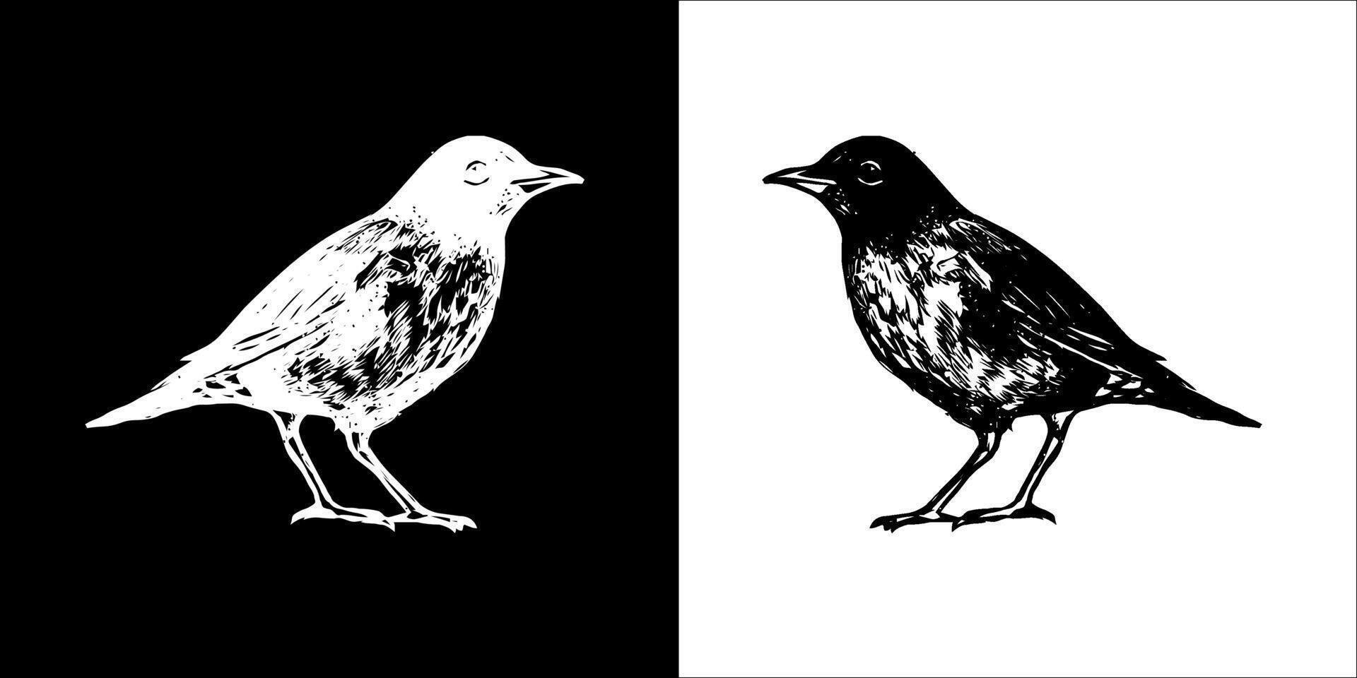 Illustration Grafik von Vogel Symbol vektor