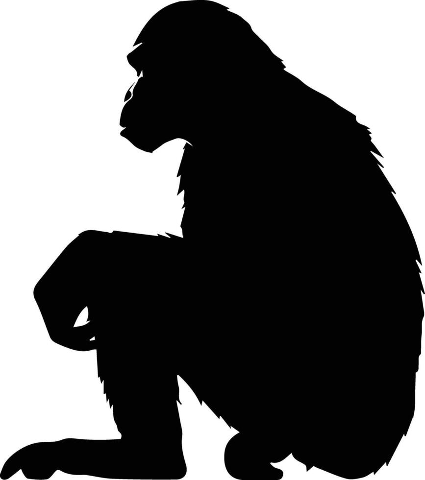 Silhouette Affe Tier Lager Bild vektor