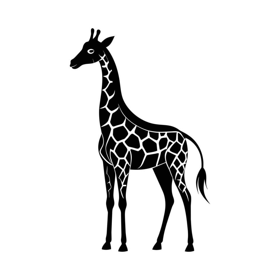 ein Giraffe mit ein schwarz und Weiß Zeichnung auf Weiß Hintergrund vektor