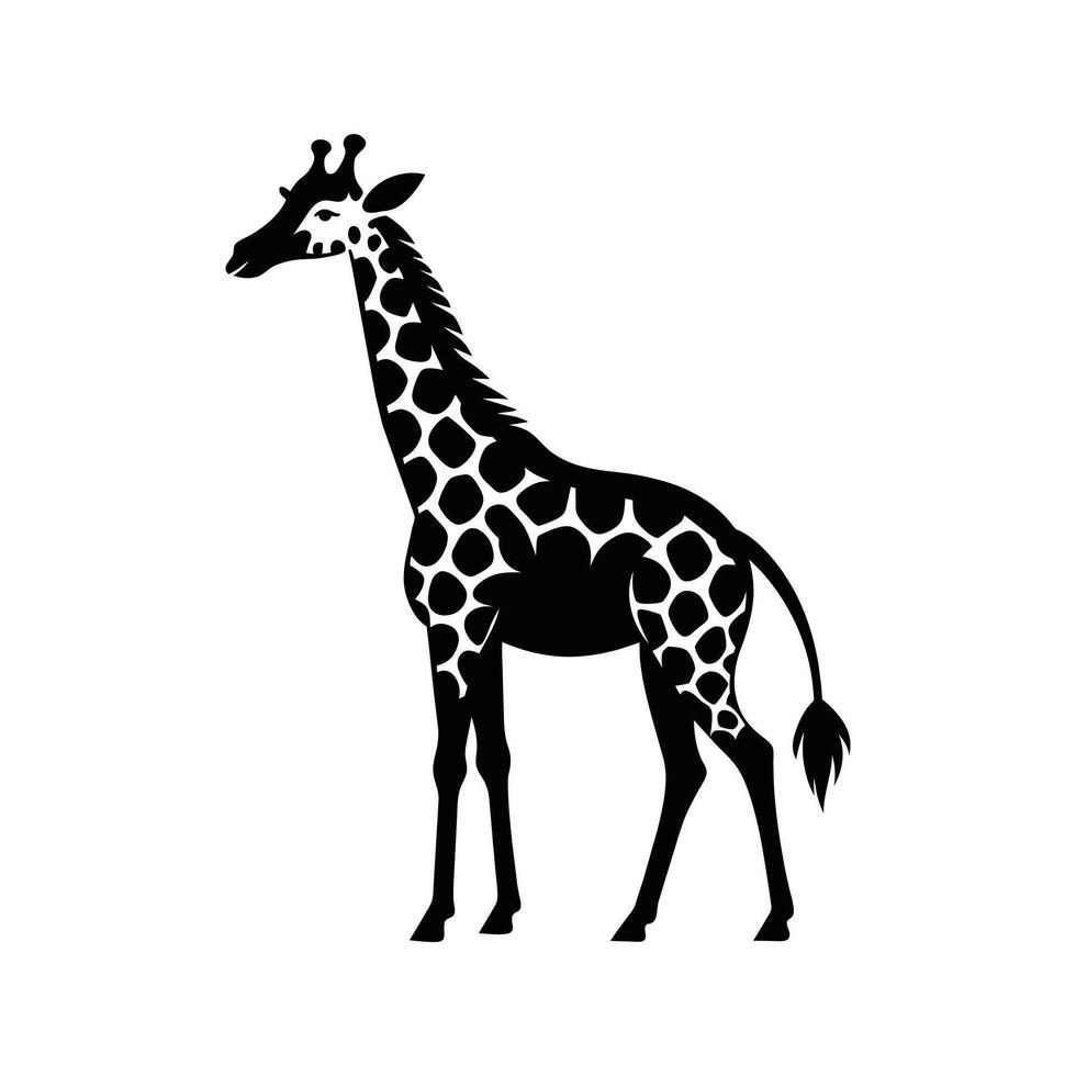 ein Giraffe mit ein schwarz und Weiß Zeichnung auf Weiß Hintergrund vektor