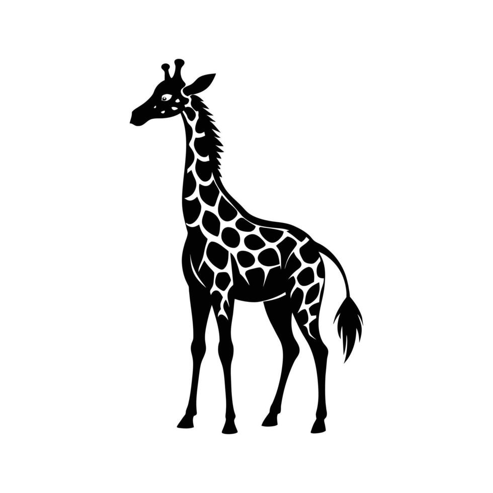 ein Giraffe mit ein schwarz und Weiß Zeichnung auf Weiß Hintergrund vektor