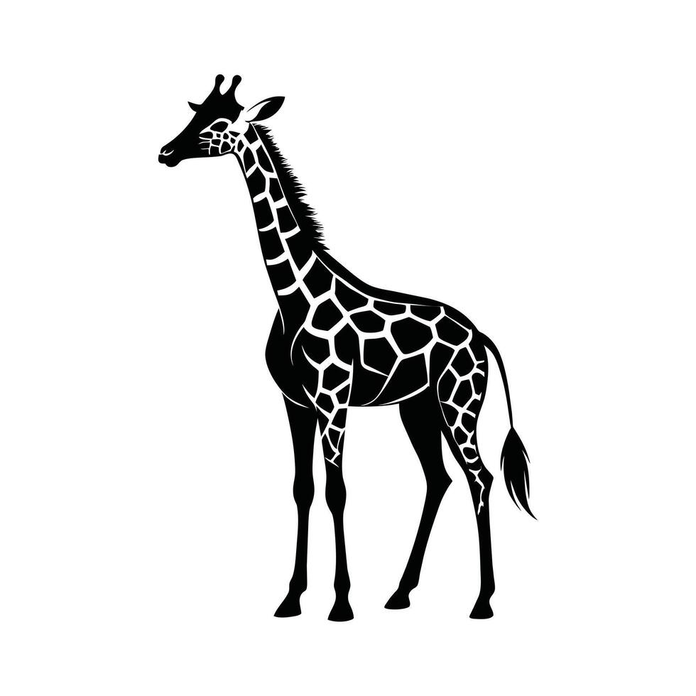 ein Giraffe mit ein schwarz und Weiß Zeichnung auf Weiß Hintergrund vektor