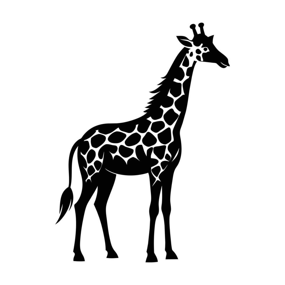 ein Giraffe mit ein schwarz und Weiß Zeichnung auf Weiß Hintergrund vektor