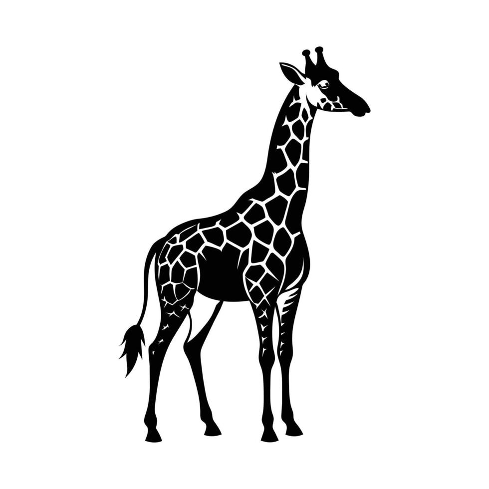 ein Giraffe mit ein schwarz und Weiß Zeichnung auf Weiß Hintergrund vektor