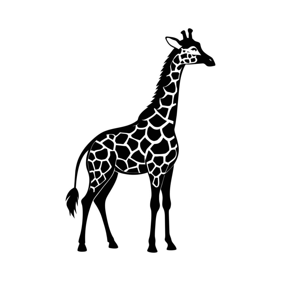 ein Giraffe mit ein schwarz und Weiß Zeichnung auf Weiß Hintergrund vektor