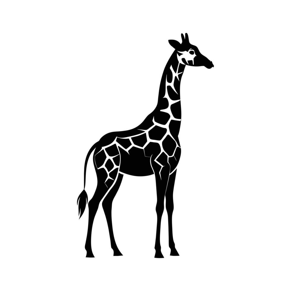 ein Giraffe mit ein schwarz und Weiß Zeichnung auf Weiß Hintergrund vektor