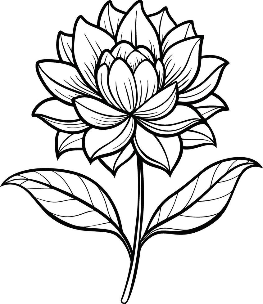 ein Zeichnung von ein Lotus Blume mit Blätter und Blätter vektor