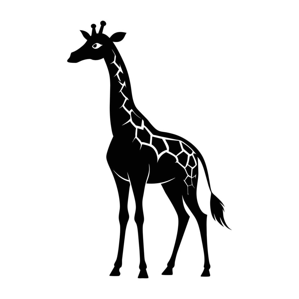 ein Giraffe mit ein schwarz und Weiß Zeichnung auf Weiß Hintergrund vektor